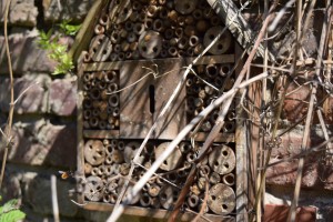 Insektenhaus mit Mauerbienen #2